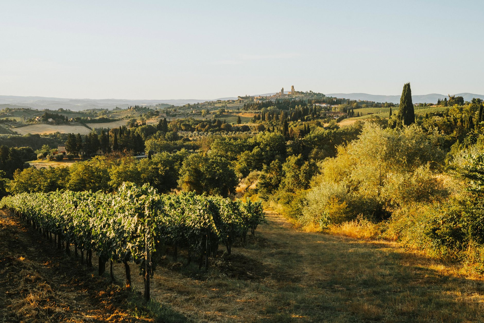 Tuscan Vineyard Estate